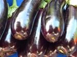 eggplant-65298-640