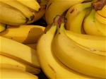 banana-5734-640