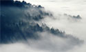 amongst-white-clouds-125x75-zenmoon
