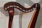 harp-195637-640