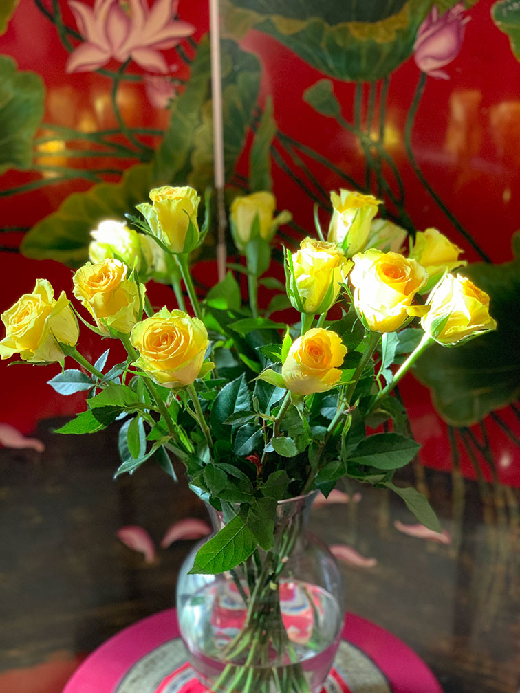 Yellow-Roses-ZenMoon